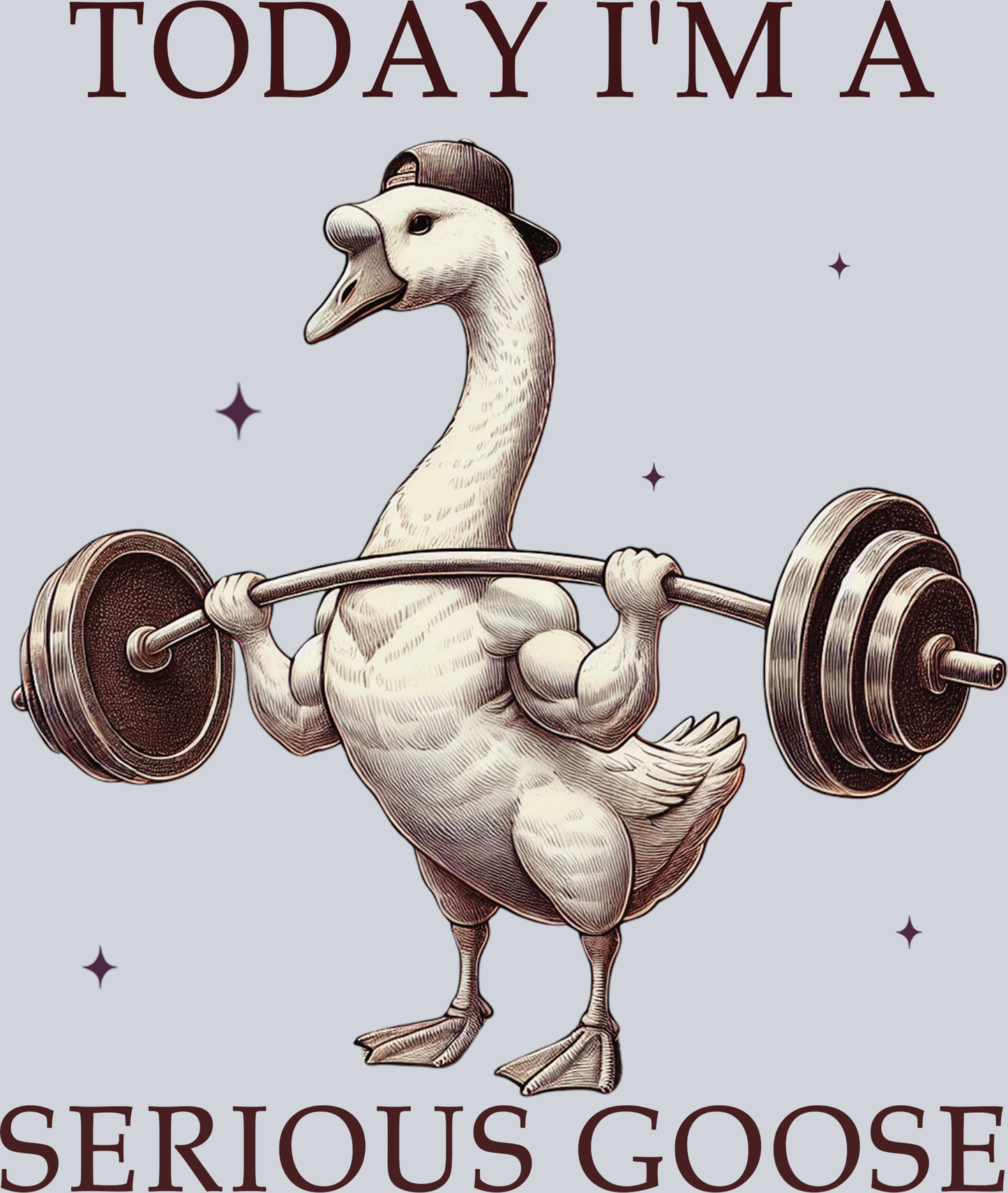 Today I'm a serious goose